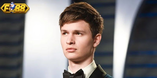 Giới thiệu về Ceo Fiora