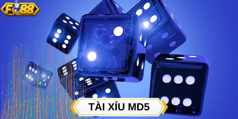 Chi tiết về quy trình hoạt động tài xỉu MD5 Chi tiết về quy trình hoạt động tài xỉu MD5