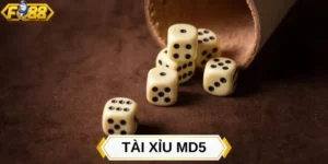 Khám phá tài xỉu MD5